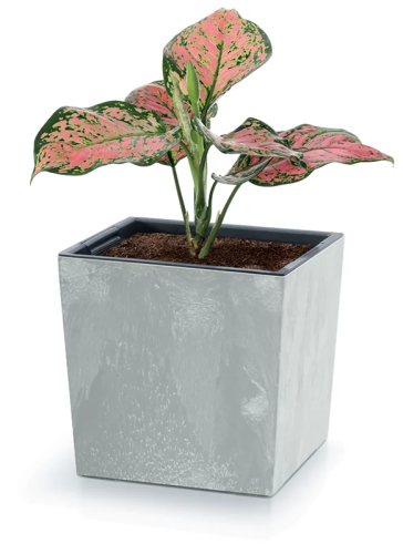 Doniczka DURS300LE Urbi Square Low Beton Effect - antracytowy