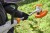 Podkaszarka akumulatorowa STIHL FSA 50 SET