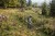 FS 311 Kosa mechaniczna, 1,9 KM