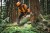Pilarka spalinowa STIHL MS 300 C-M 3,3 kW 40 cm M-Tronic