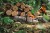 Pilarka spalinowa STIHL MS 300 C-M 3,3 kW 40 cm M-Tronic
