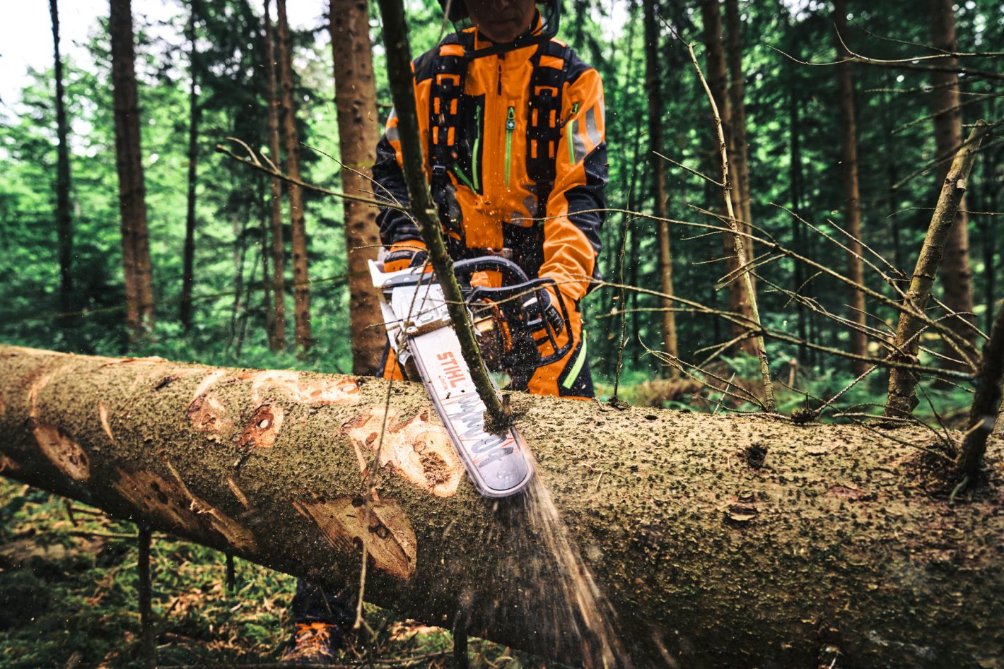 Cechy profesjonalnej pilarki STIHL MS 300 C-M